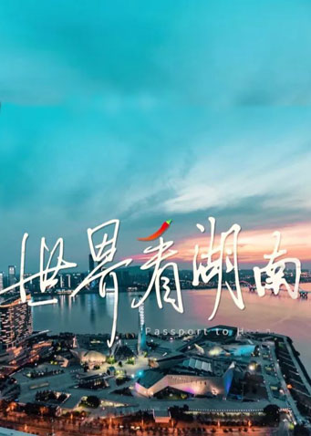 亚洲视频日本无码