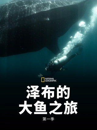 泽布的大鱼之旅